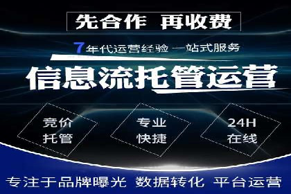某知名企业SEM营销全案解析