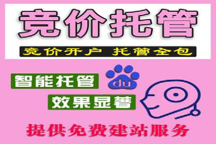 信息流广告投放公司案例策略解析